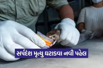Gujarat Snakebite Antivenom Research Institute Dharampur