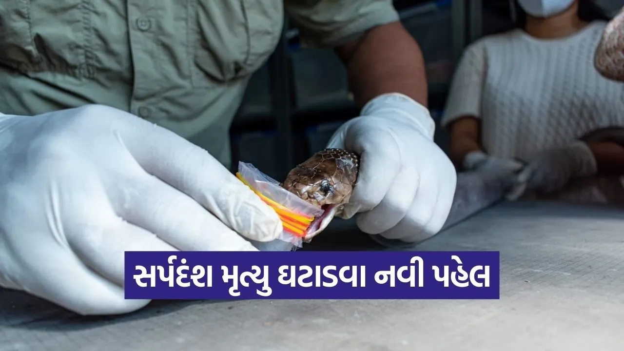 Gujarat Snakebite Antivenom Research Institute Dharampur.jpg