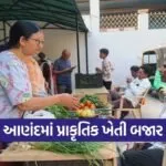 Anand Natural Farming Produce Sale Center