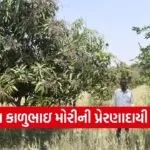 Dahod Natural Farming Farmer Success Story 1