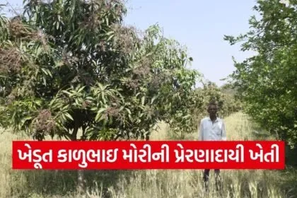 Dahod Natural Farming Farmer Success Story 1