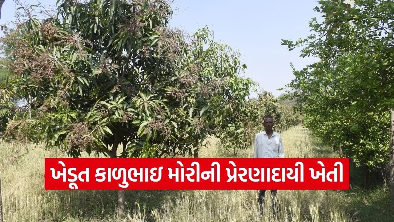 Dahod Natural Farming Farmer Success Story 1.jpg