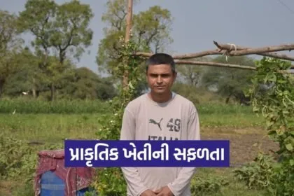 Aravalli Natural Farming Success Story 1