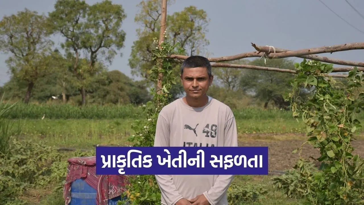 Aravalli Natural Farming Success Story 1.jpg
