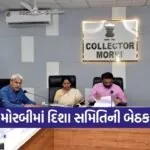 Morbi DISHA Committee Development Review 1