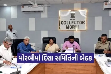 Morbi DISHA Committee Development Review 1