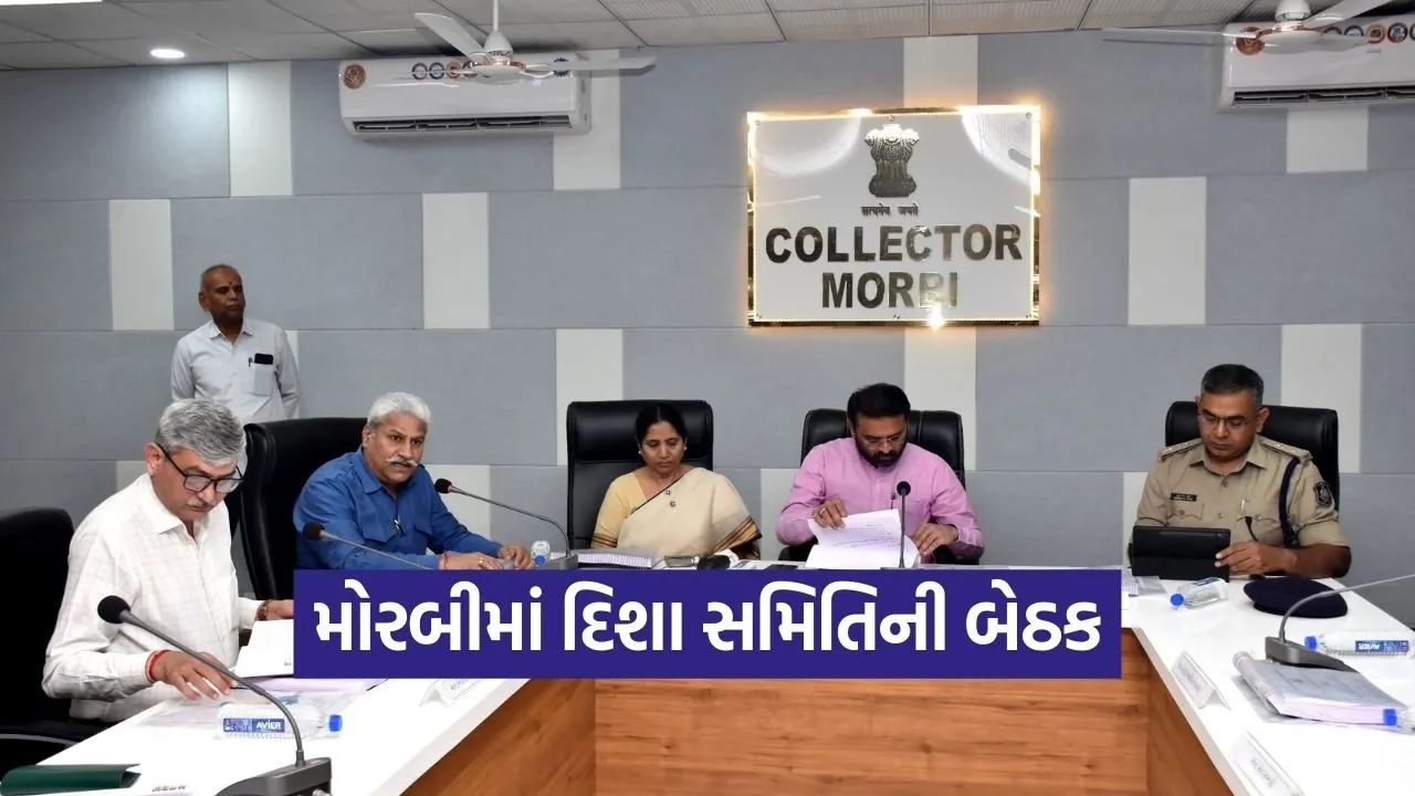 Morbi DISHA Committee Development Review 1.jpg