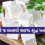 Homemade paneer