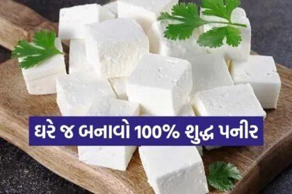 Homemade paneer