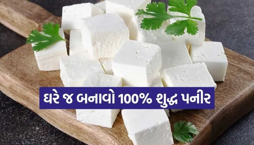 Homemade paneer