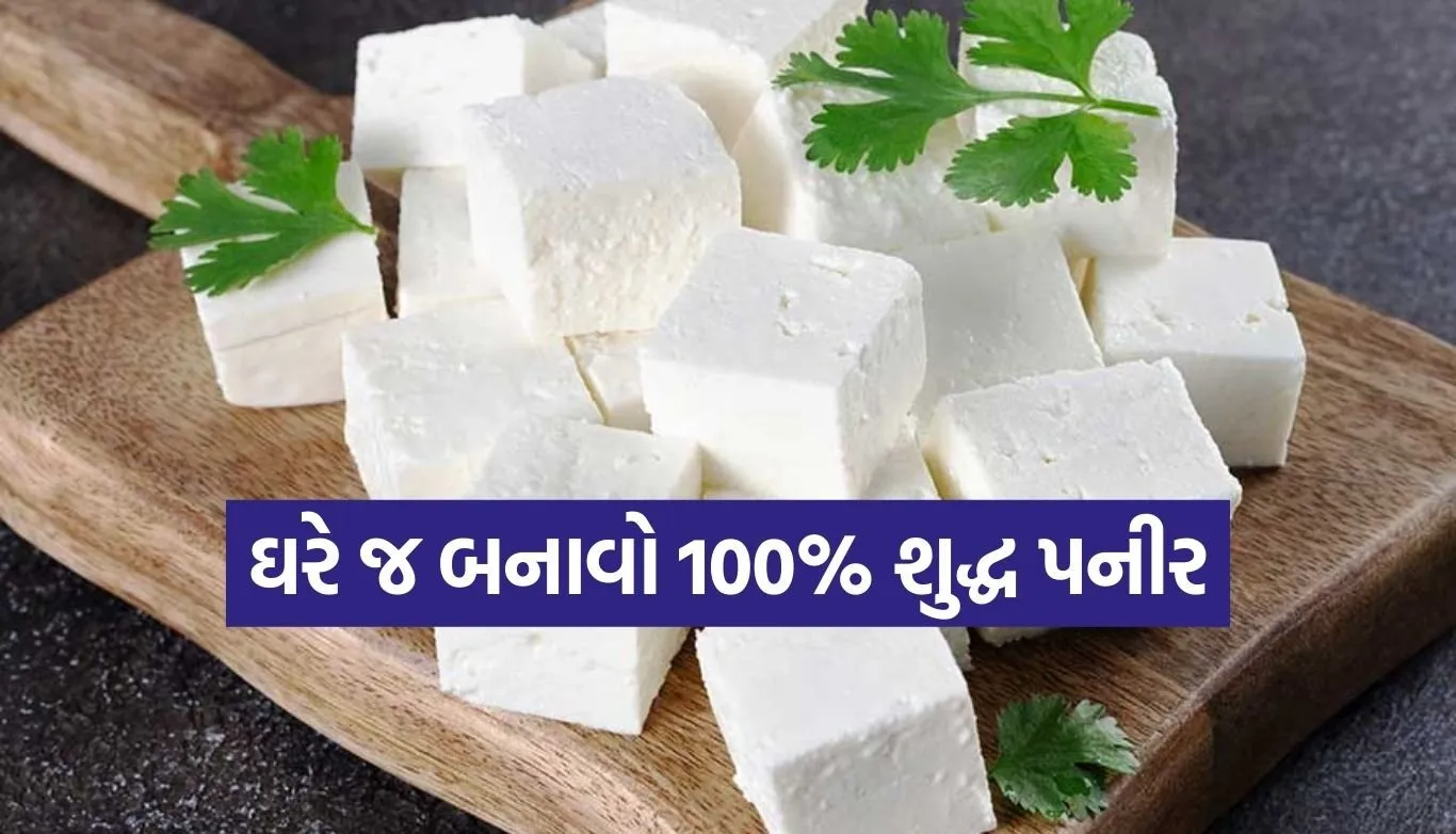 Homemade paneer