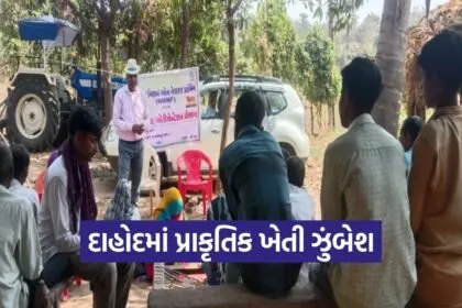 Dahod Natural Farming ATMA Project 1