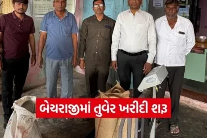 Mehsana Tur Procurement MSP 2026
