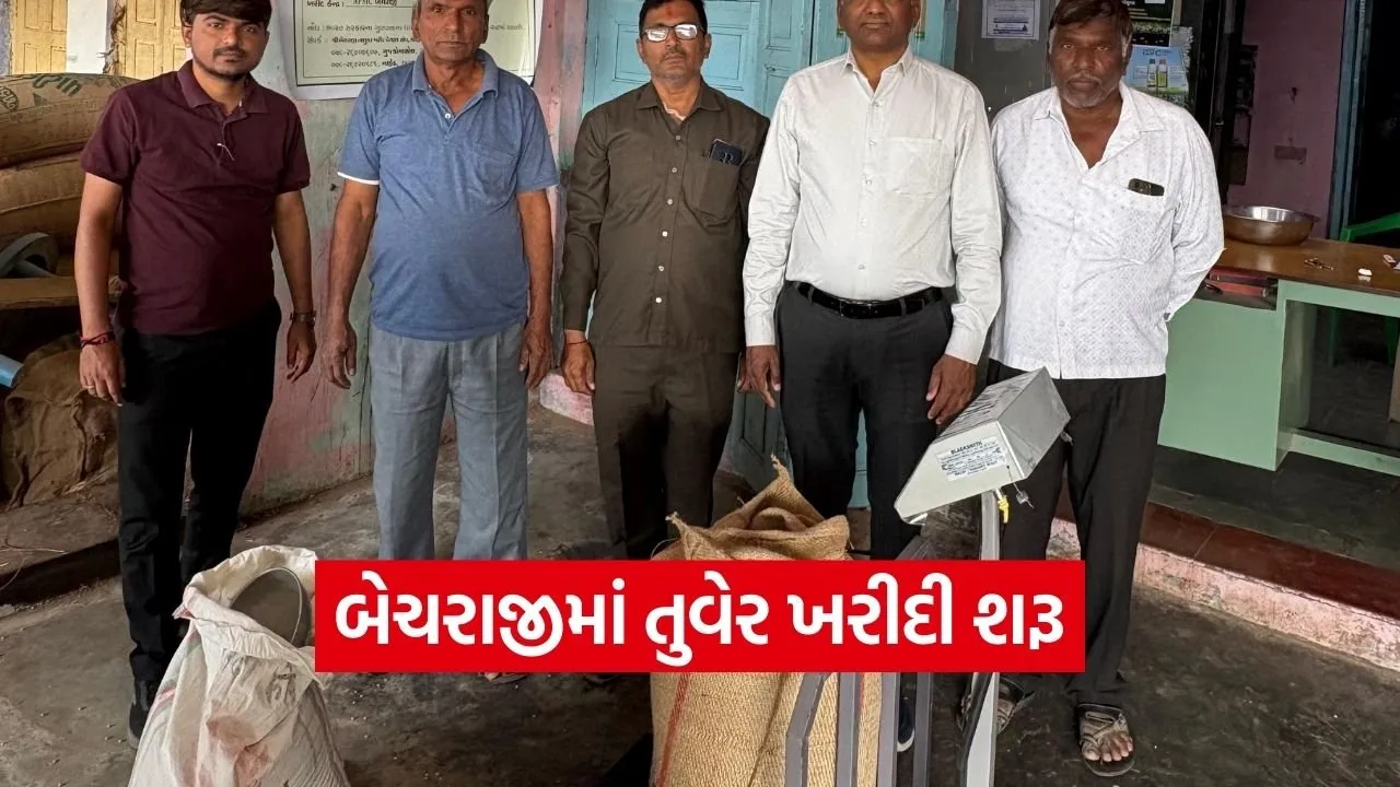 Mehsana Tur Procurement MSP 2026.jpg