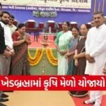 Sabarkantha Natural Farming Fair Khedbrahma 1