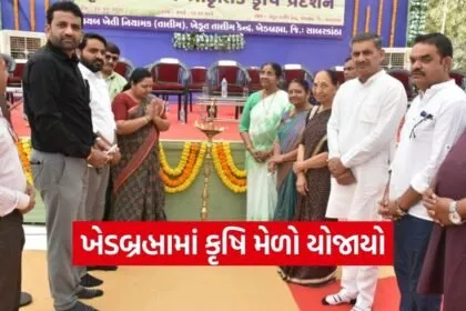 Sabarkantha Natural Farming Fair Khedbrahma 1