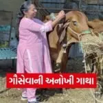 Vadodara Tarasali Vedic Holi Gau Seva Initiative