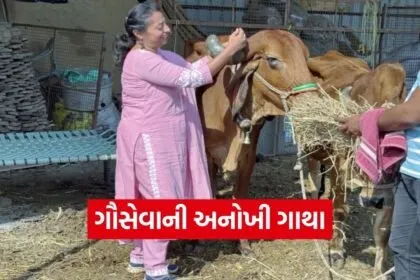 Vadodara Tarasali Vedic Holi Gau Seva Initiative
