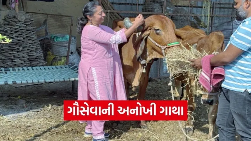 Vadodara Tarasali Vedic Holi Gau Seva Initiative