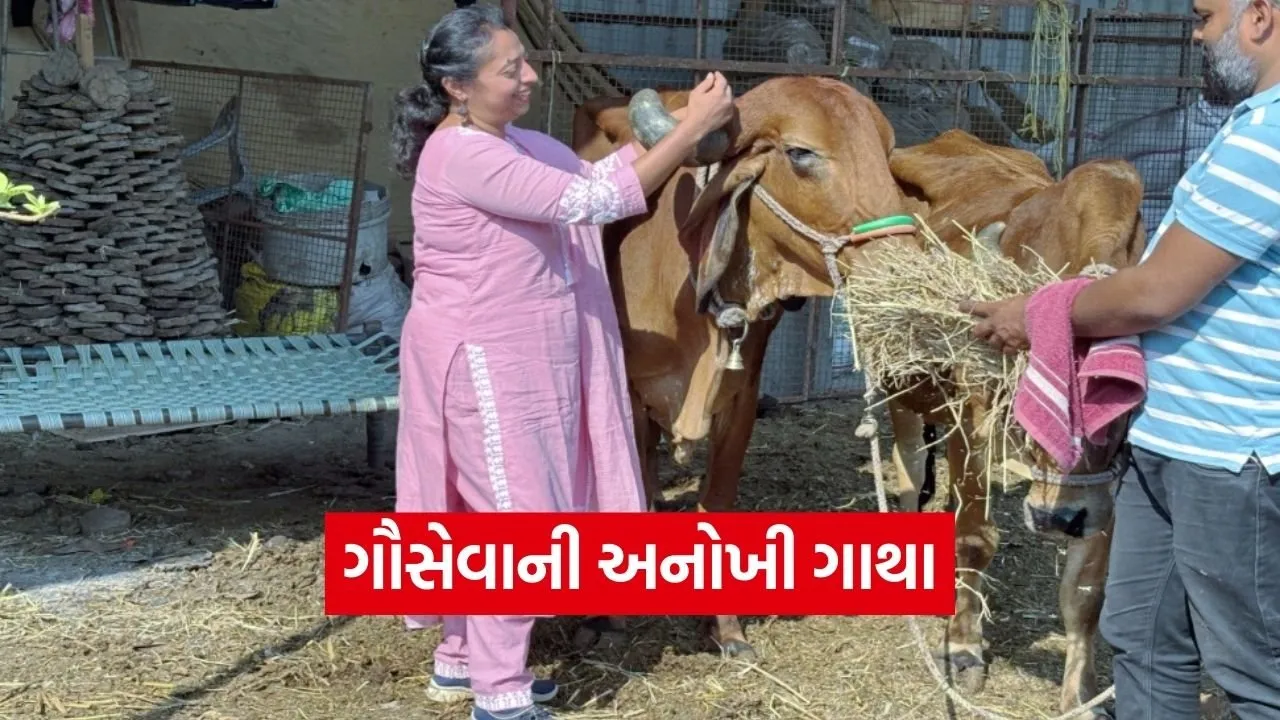 Vadodara Tarasali Vedic Holi Gau Seva Initiative.jpg