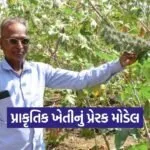 Vadodara Natural Farming Success Story 2026 1