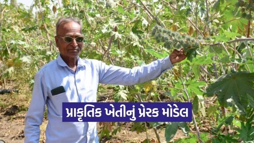 Vadodara Natural Farming Success Story 2026 1