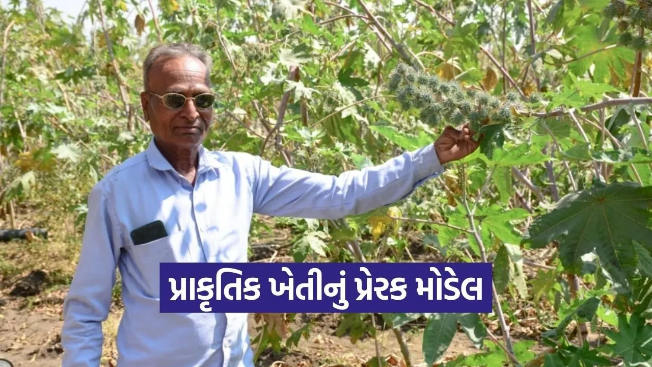 Vadodara Natural Farming Success Story 2026 1.jpg