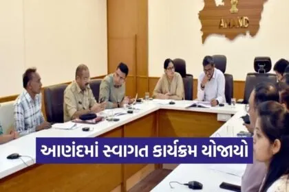 Anand SWAGAT Grievance Redressal February 2026 1
