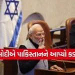 PM Modi 2602 2