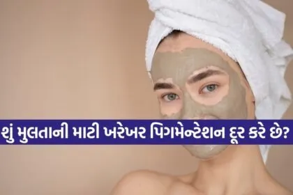 Mitti 2602