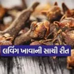 Clove 2602