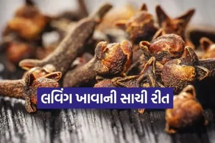 Clove 2602