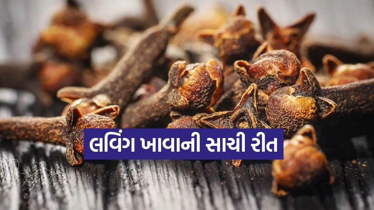 Clove 2602.jpg