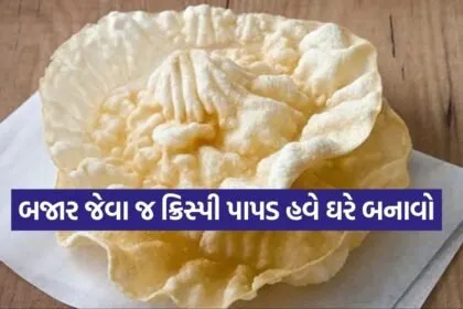 rice papad 2602