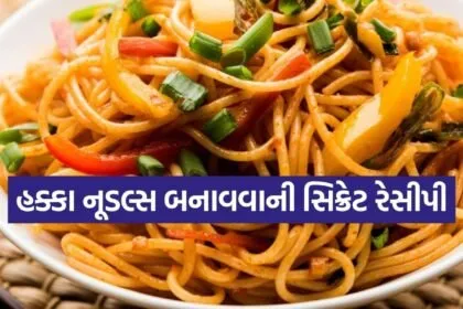 Hakka Noodles