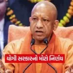 yogi