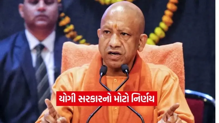 yogi
