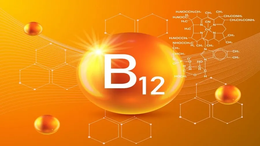 શરીર હંમેશા થાકેલું રહે છે? સાવધાન! વિટામિન B12 ની ઉણપ હોઈ શકે છે, આ લક્ષણોને ભૂલથી પણ નજરઅંદાજ ન કરો 3 12 b.jpg