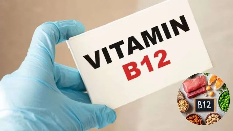 શરીર હંમેશા થાકેલું રહે છે? સાવધાન! વિટામિન B12 ની ઉણપ હોઈ શકે છે, આ લક્ષણોને ભૂલથી પણ નજરઅંદાજ ન કરો 2 12.jpg