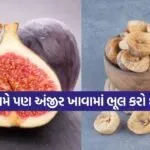 dharmishtha 1 41
