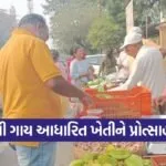 Surat Bardoli Natural Farming Market Gujarat 1