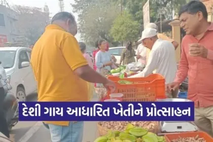 Surat Bardoli Natural Farming Market Gujarat 1