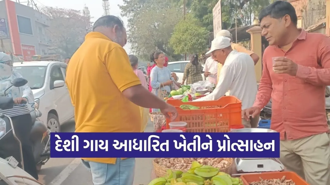 Surat Bardoli Natural Farming Market Gujarat 1.jpg