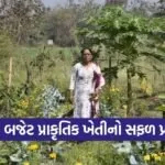 Bhavanaben Patel Jungle Model Natural Farming Bardoli 1