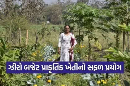 Bhavanaben Patel Jungle Model Natural Farming Bardoli 1