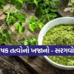Moringa 2702