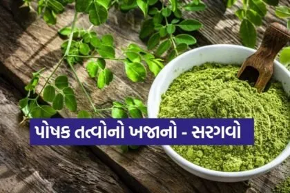 Moringa 2702