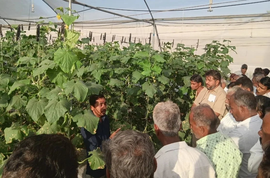 પેટલાદના ઇસરામા સેન્ટર ઓફ એક્સેલન્સ ખાતે મધમાખી ઉછેર તાલીમ શિબિર યોજાઈ, ૩૮૦ ખેડૂતોને આધુનિક પદ્ધતિઓનું માર્ગદર્શન 2 Petlad Israma Beekeeping Training Anand.jpeg