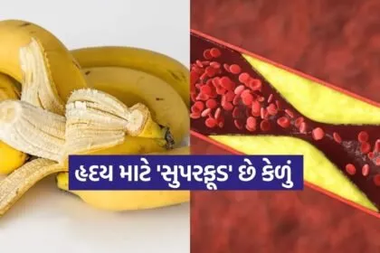 Banana 2702