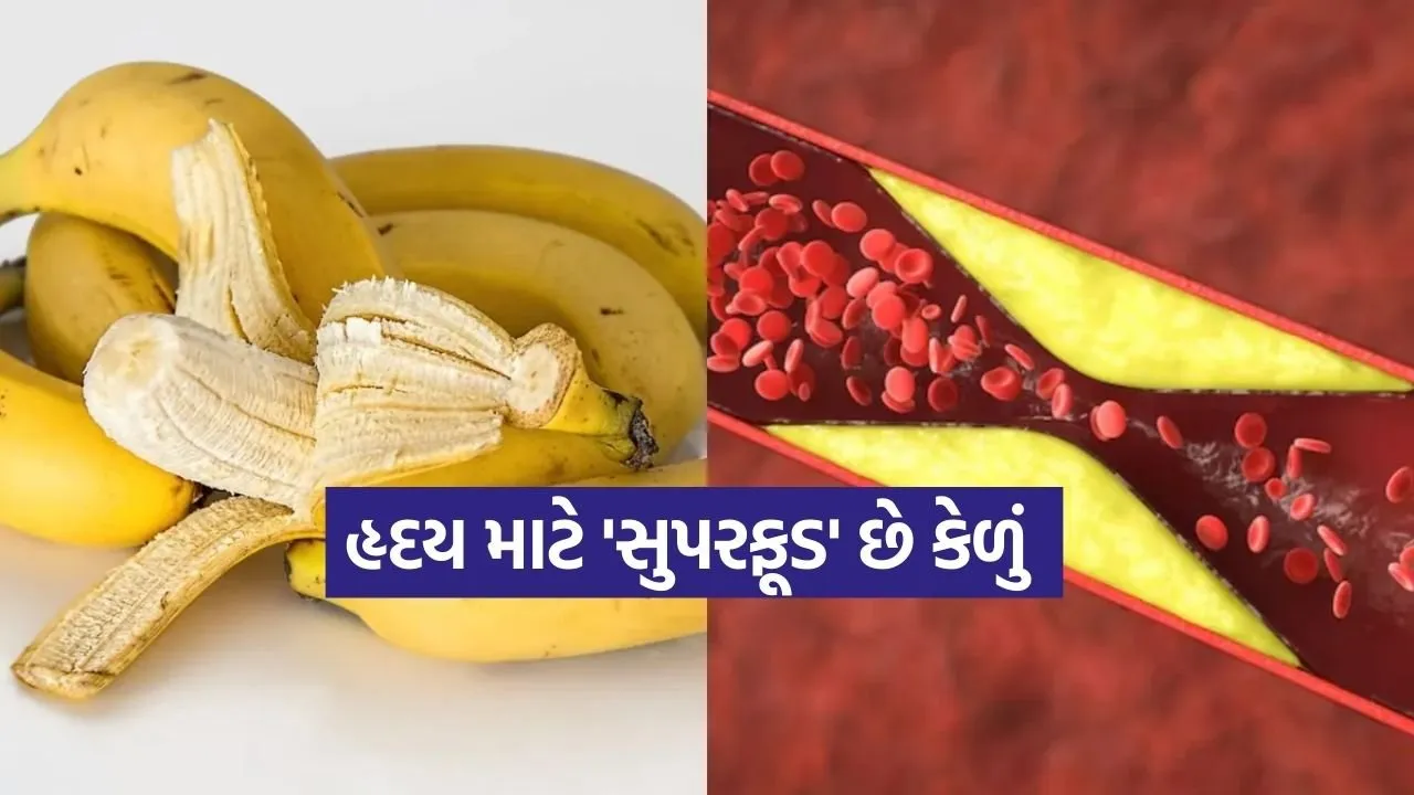 Banana 2702.jpg